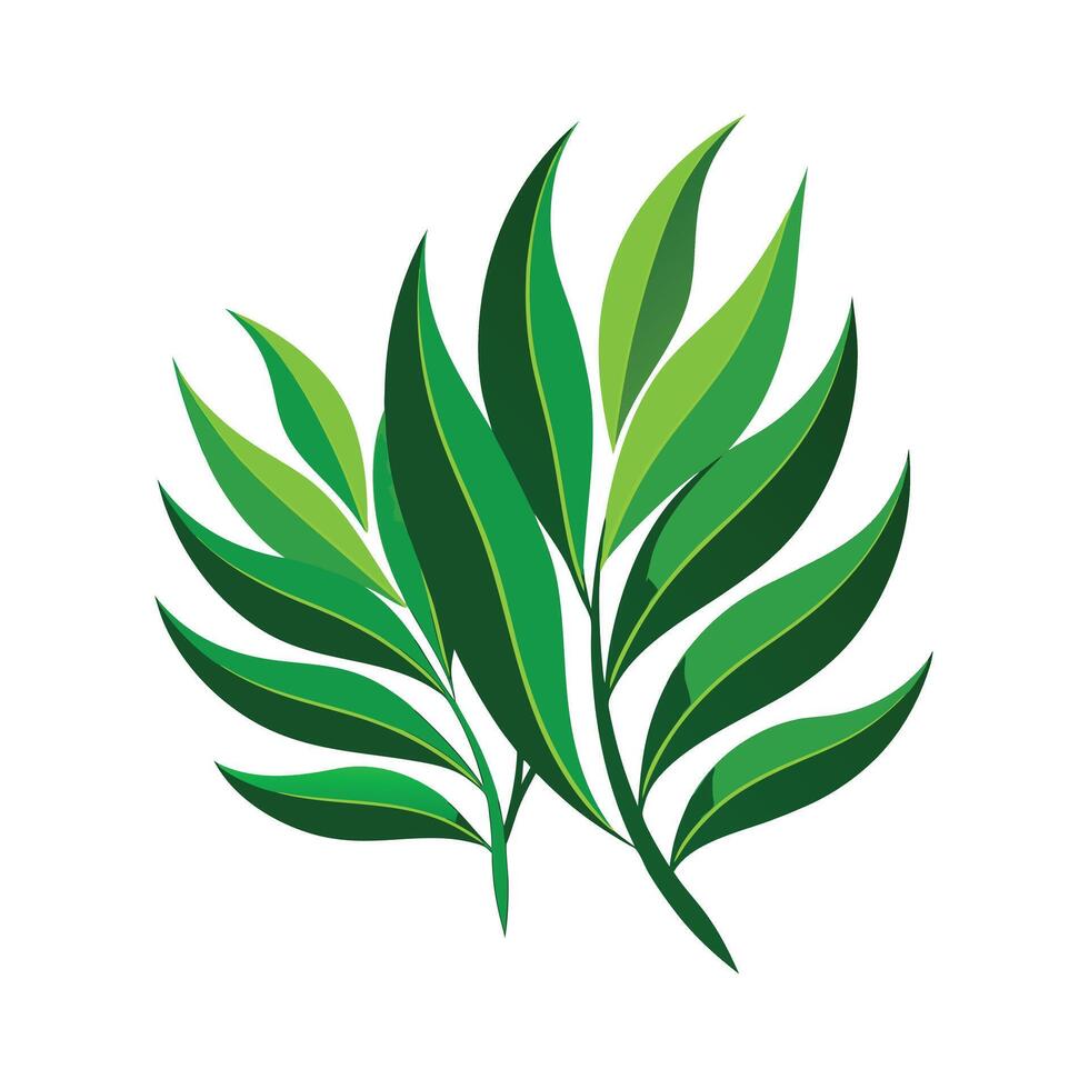 Realistic Beautiful Leaves Illustration vector