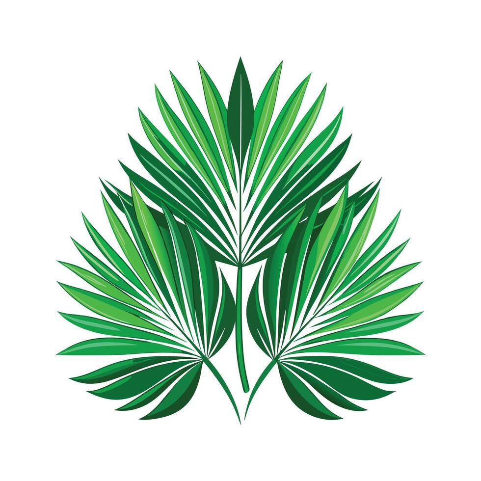 Realistic Beautiful Leaves Illustration vector