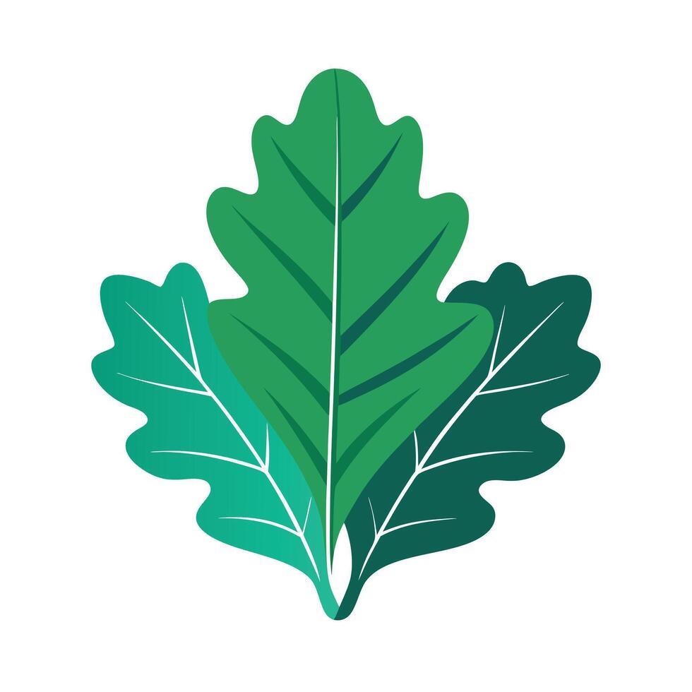 Realistic Beautiful Leaves Illustration vector