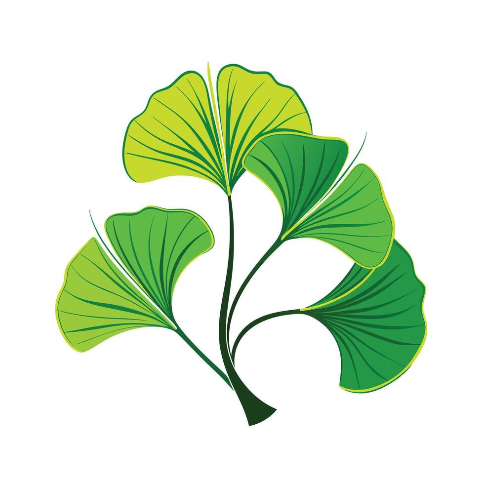 Realistic Beautiful Leaves Illustration vector