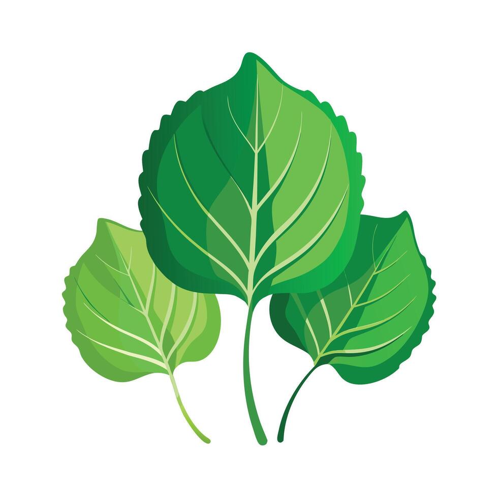 Realistic Beautiful Leaves Illustration vector