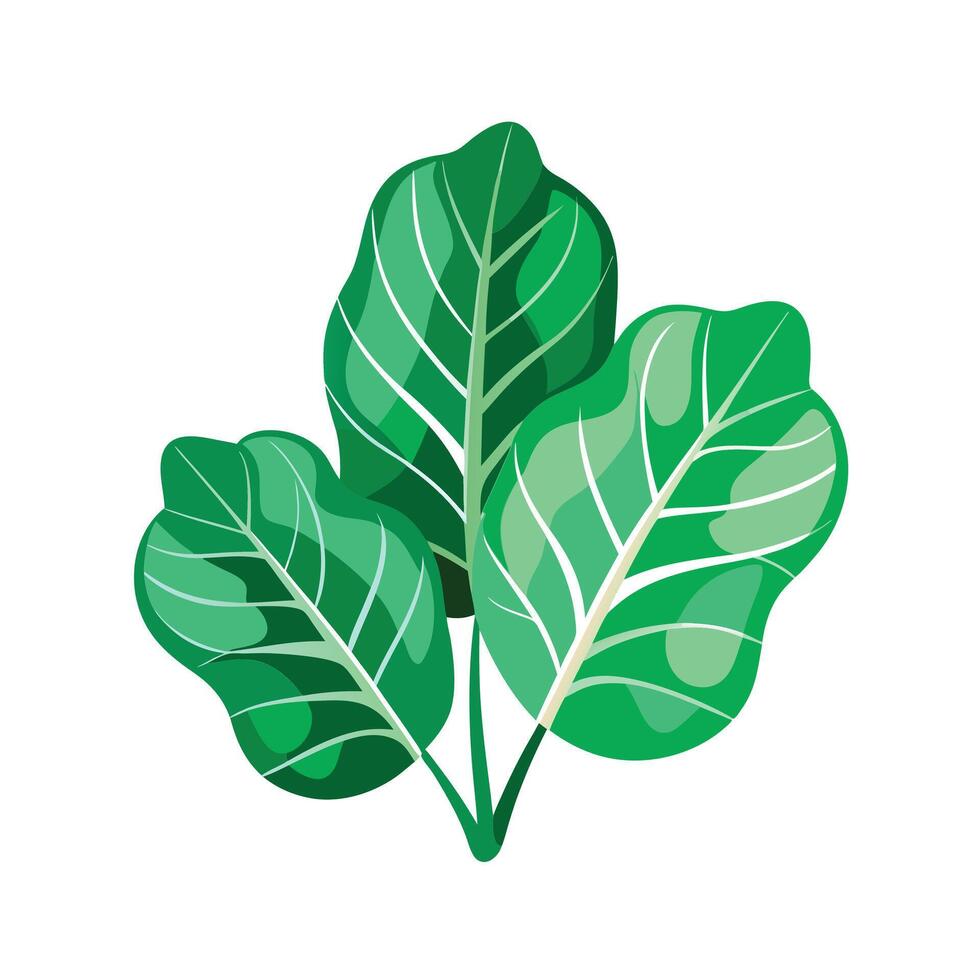 Realistic Beautiful Leaves Illustration vector
