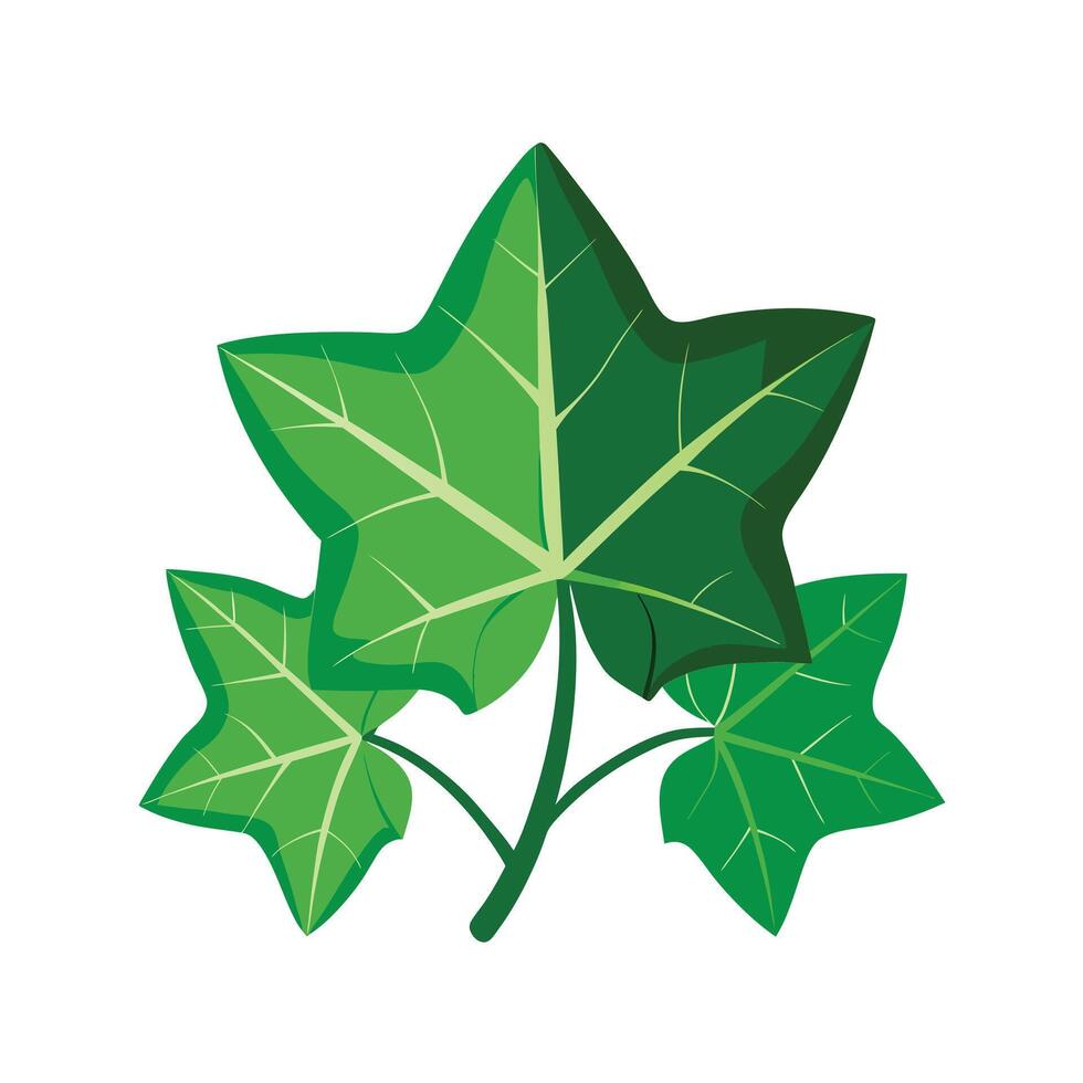 Realistic Beautiful Leaves Illustration vector