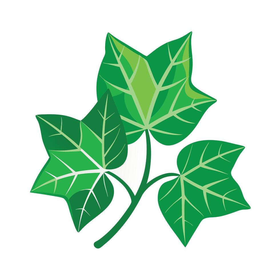 Realistic Beautiful Leaves Illustration vector