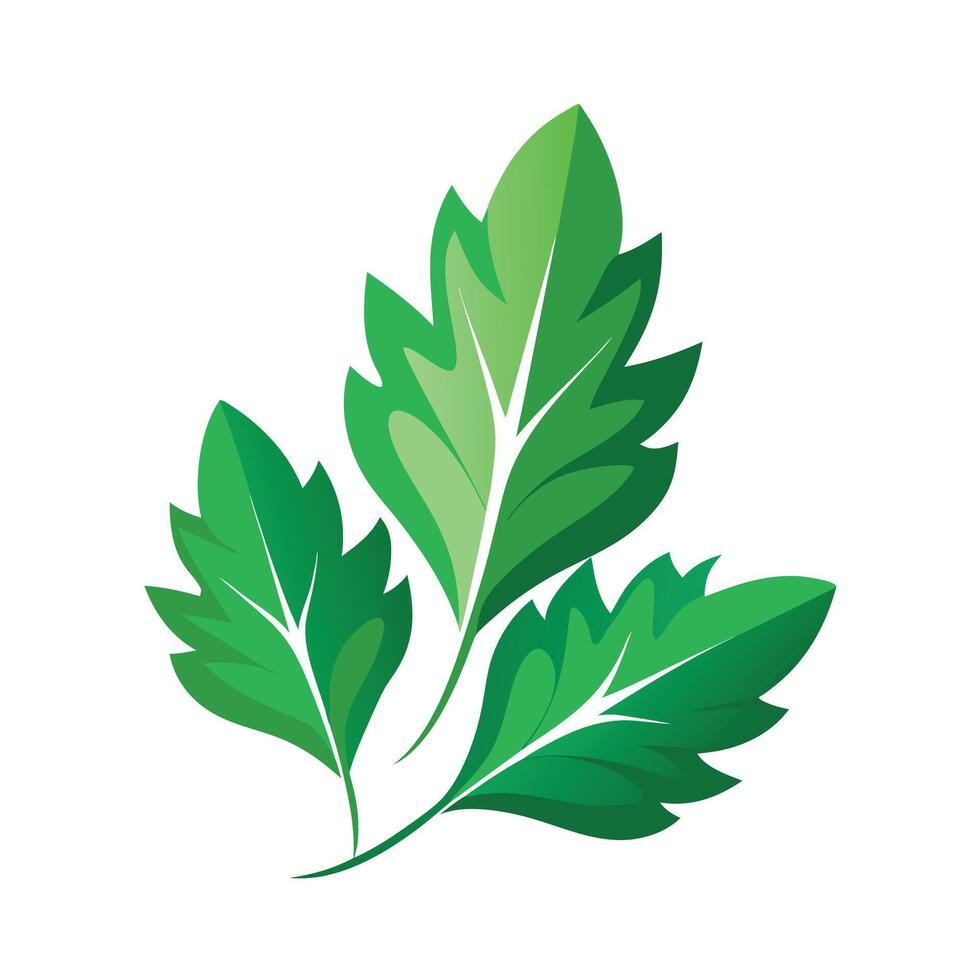 Realistic Beautiful Leaves Illustration vector