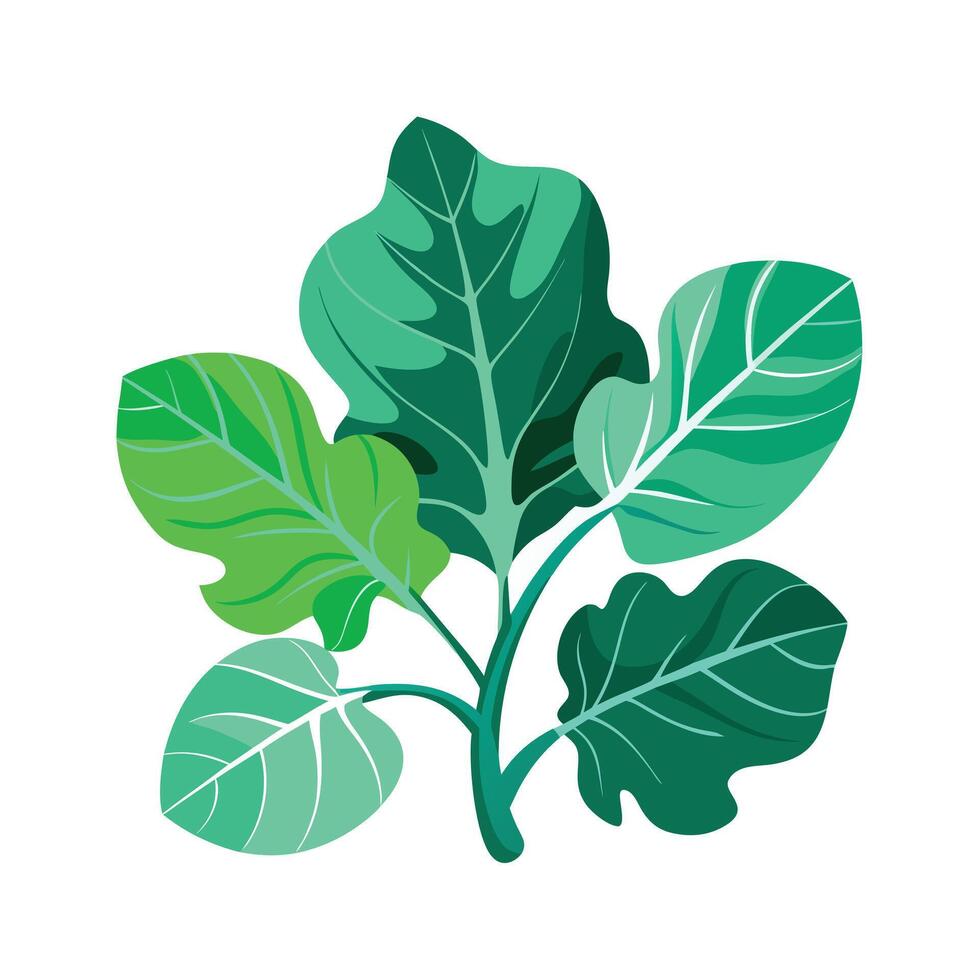 Realistic Beautiful Leaves Illustration vector