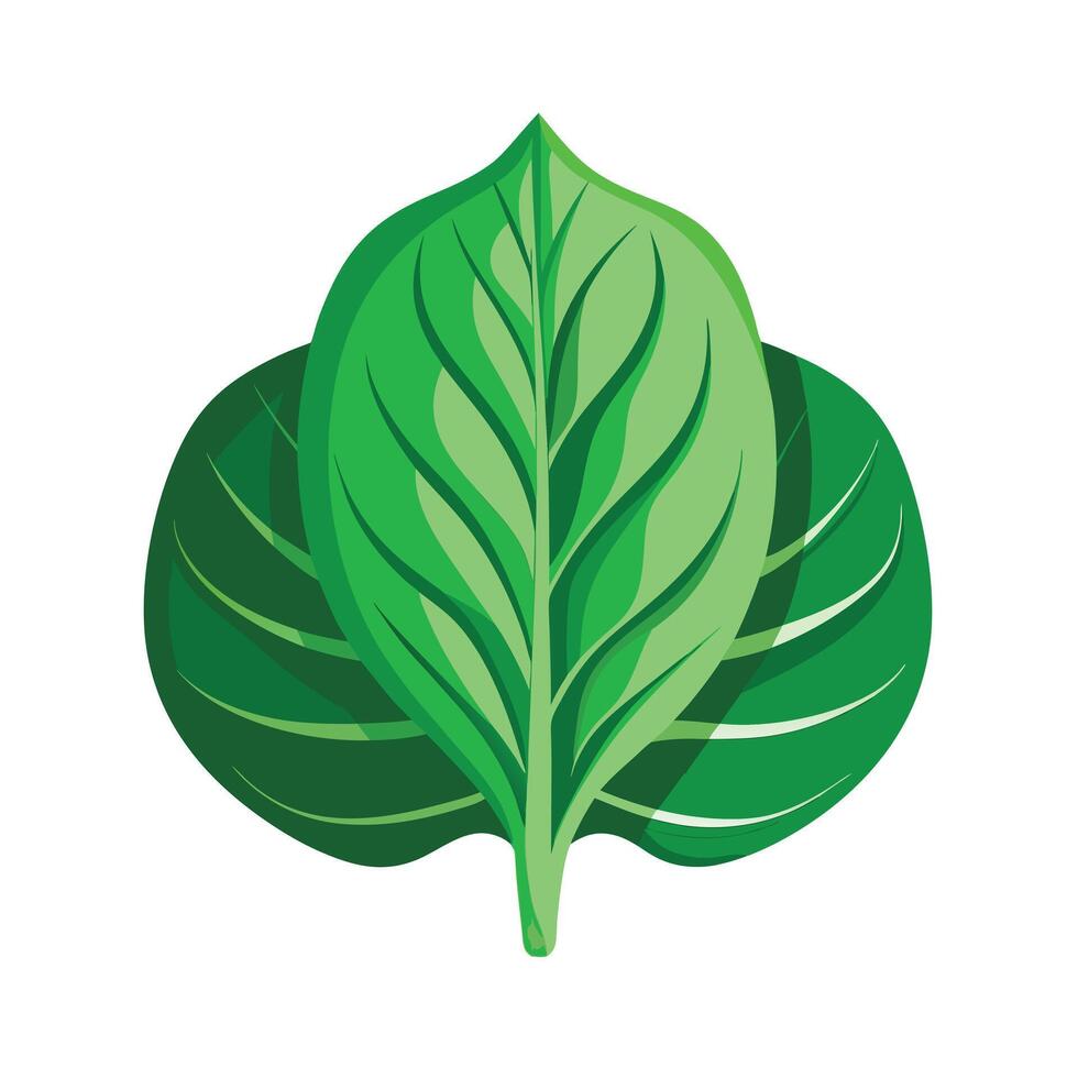 Realistic Beautiful Leaves Illustration vector