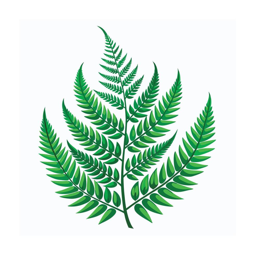 Realistic Beautiful Leaves Illustration vector