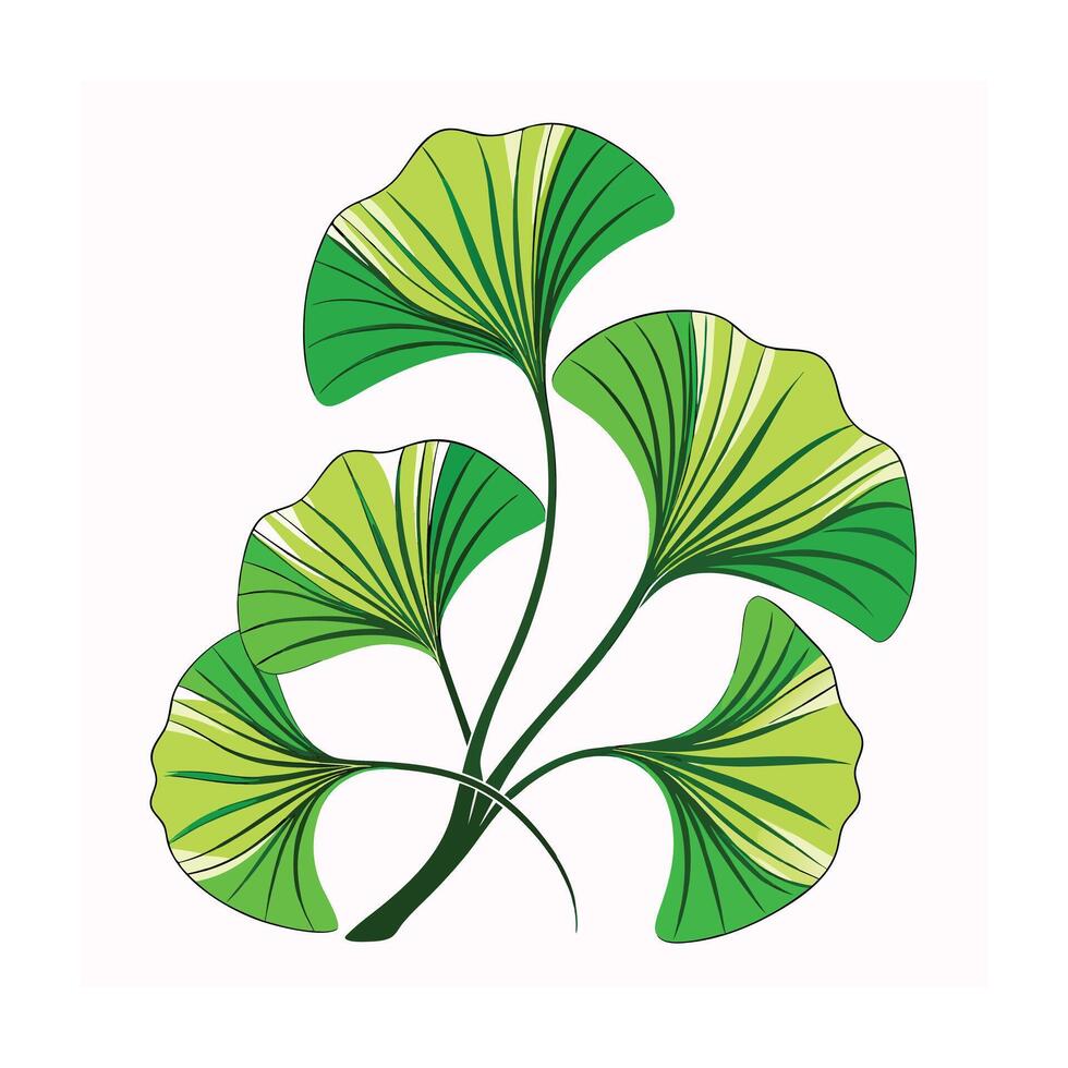 Realistic Beautiful Leaves Illustration vector