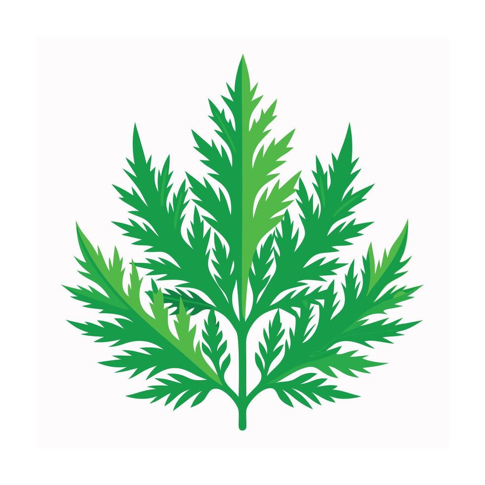 Realistic Beautiful Leaves Illustration vector
