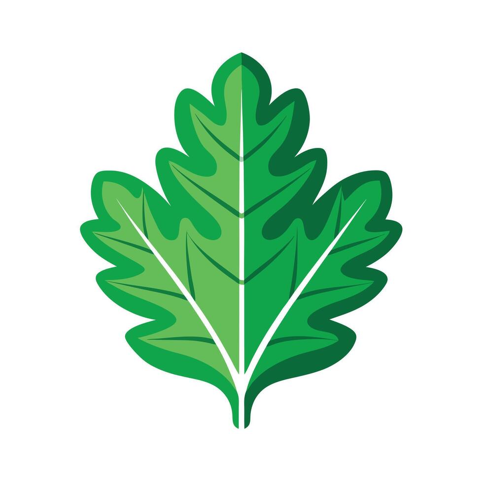 Realistic Beautiful Leaves Illustration vector