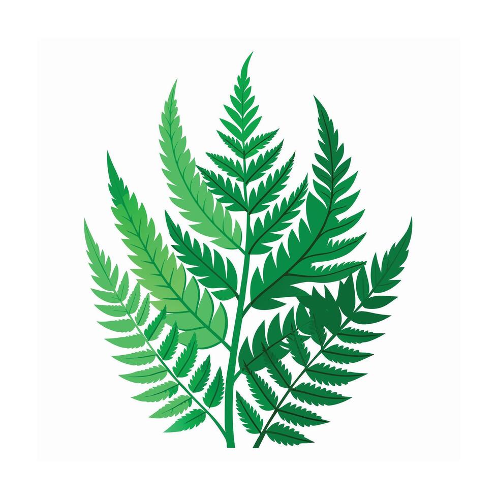 Realistic Beautiful Leaves Illustration vector