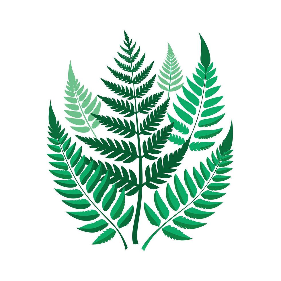 Realistic Beautiful Leaves Illustration vector