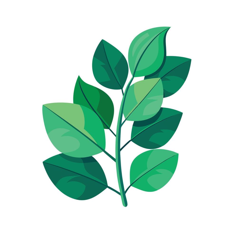 Realistic Beautiful Leaves Illustration vector