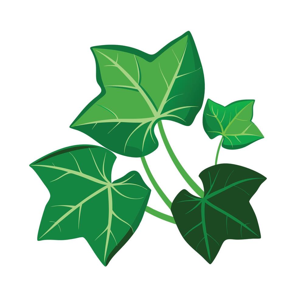 Realistic Beautiful Leaves Illustration vector