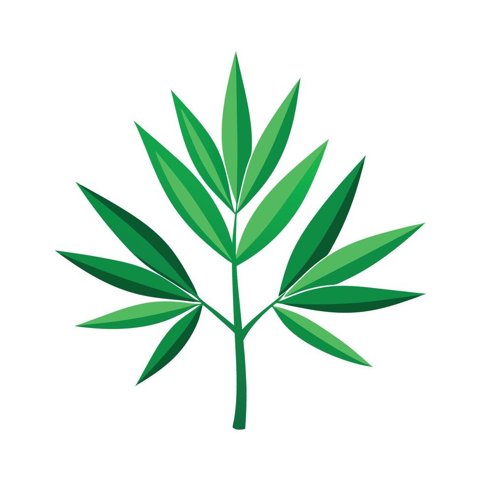 Realistic Beautiful Leaves Illustration vector