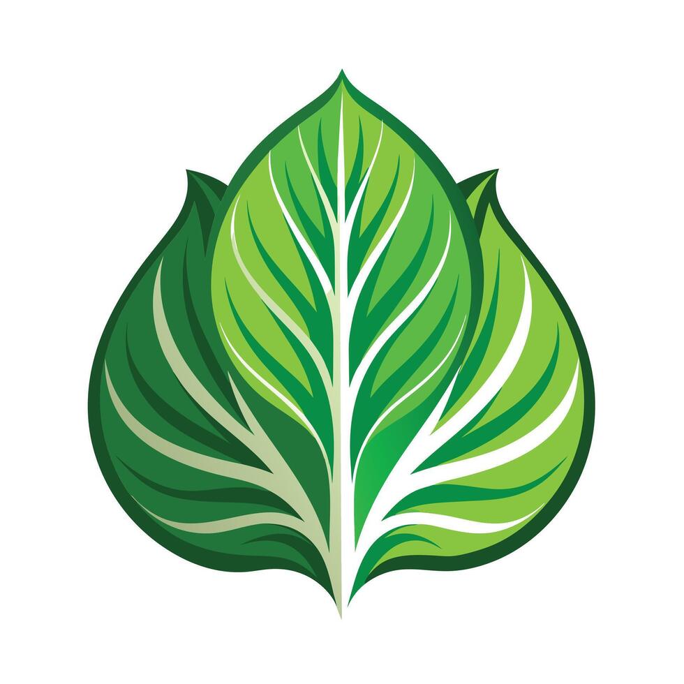 Realistic Beautiful Leaves Illustration vector