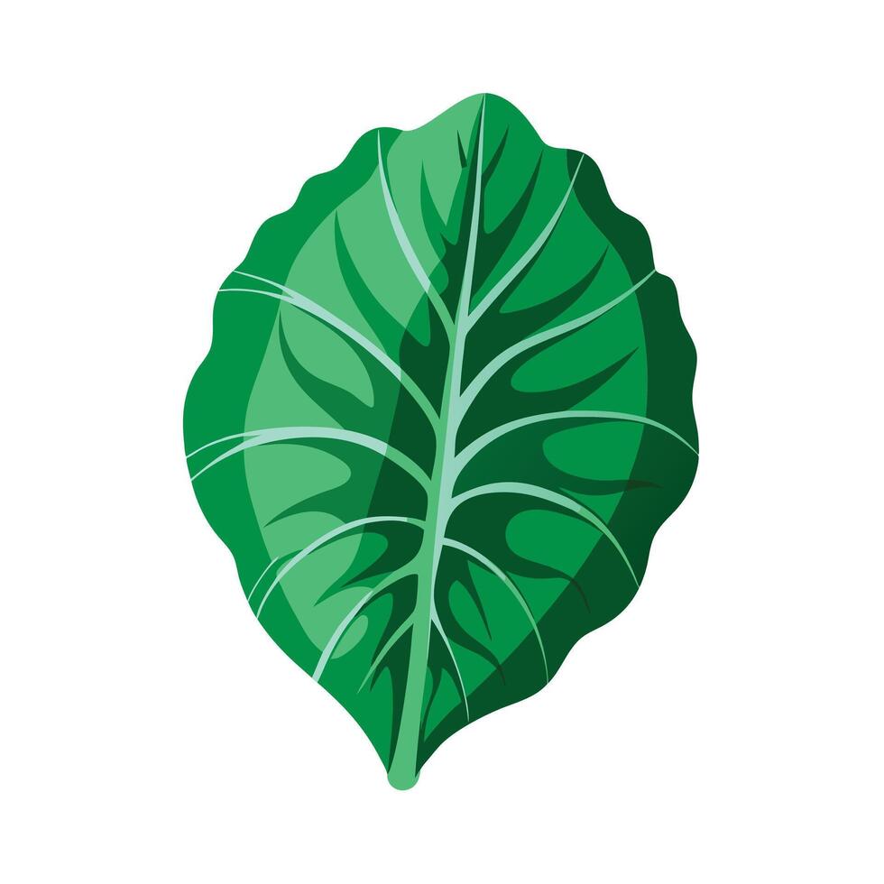 Realistic Beautiful Leaves Illustration vector