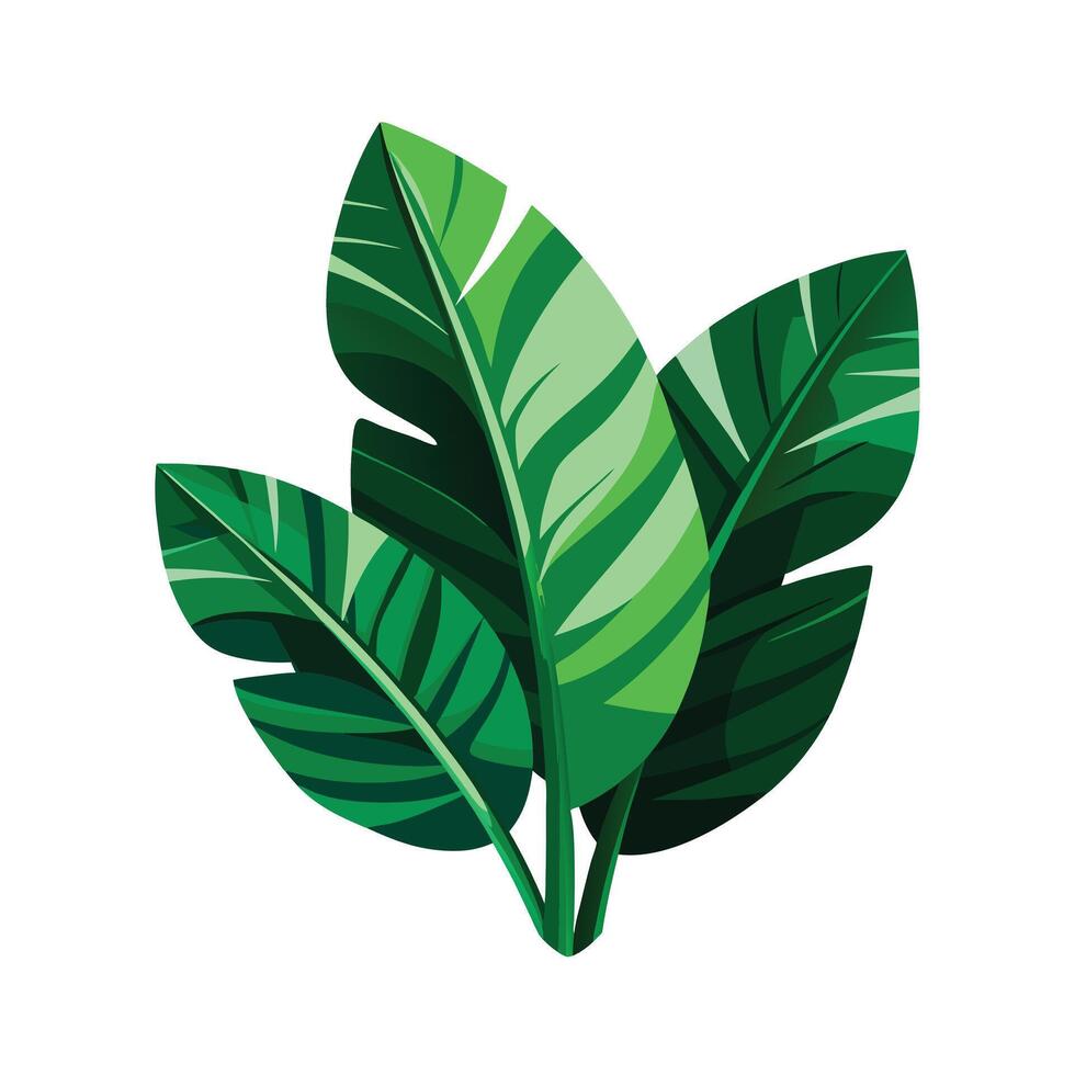 Realistic Beautiful Leaves Illustration vector