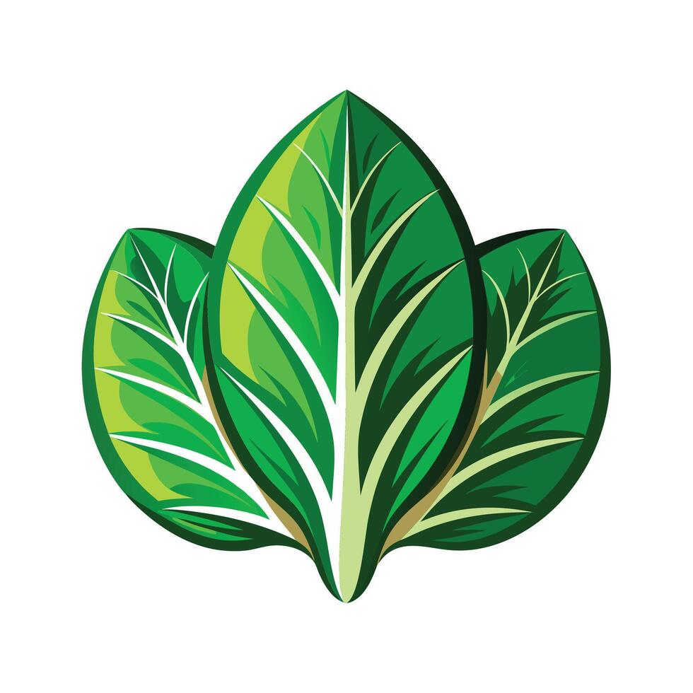 Realistic Beautiful Leaves Illustration vector
