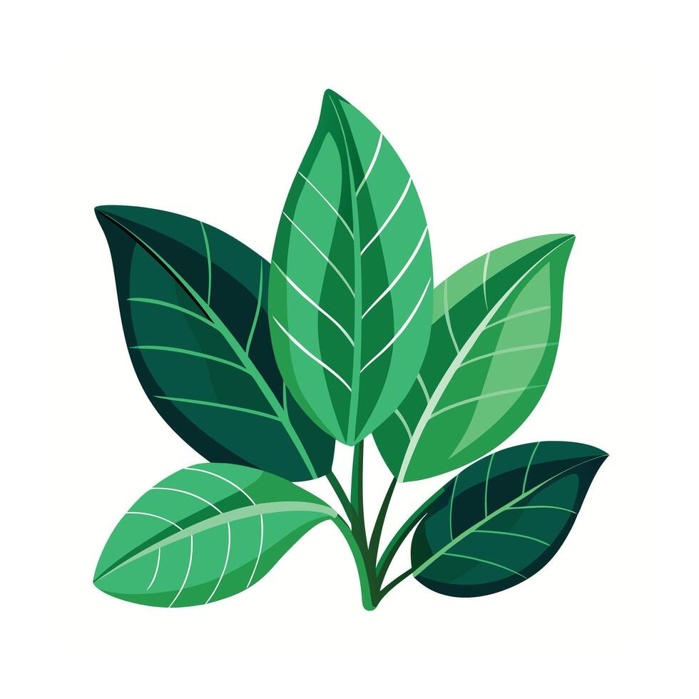 Realistic Beautiful Leaves Illustration vector