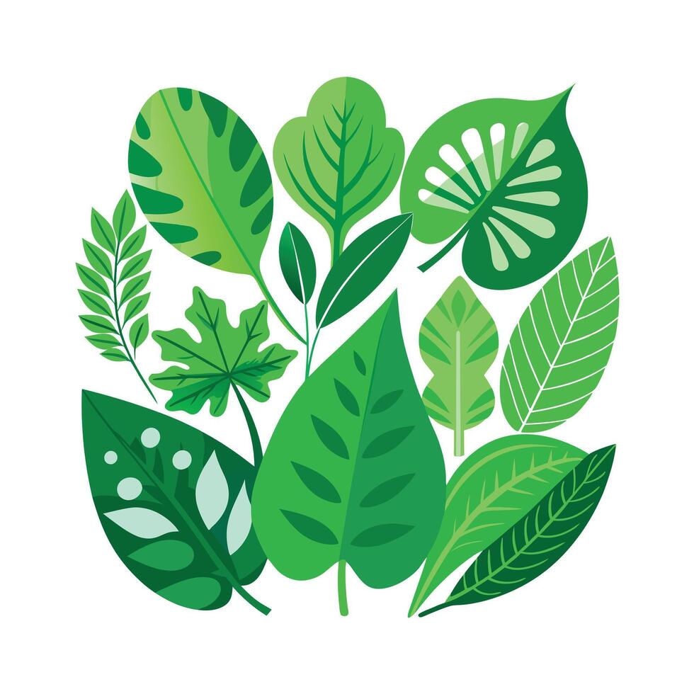 Realistic Beautiful Leaves Illustration vector