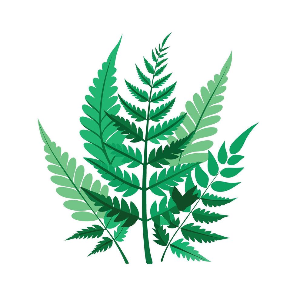 Realistic Beautiful Leaves Illustration vector