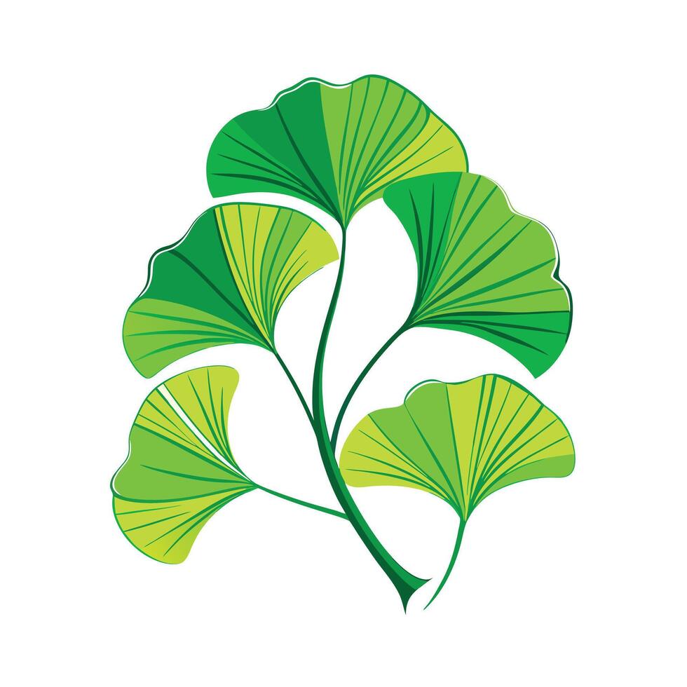 Realistic Beautiful Leaves Illustration vector