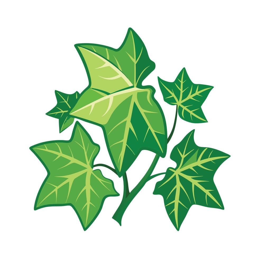 Realistic Beautiful Leaves Illustration vector
