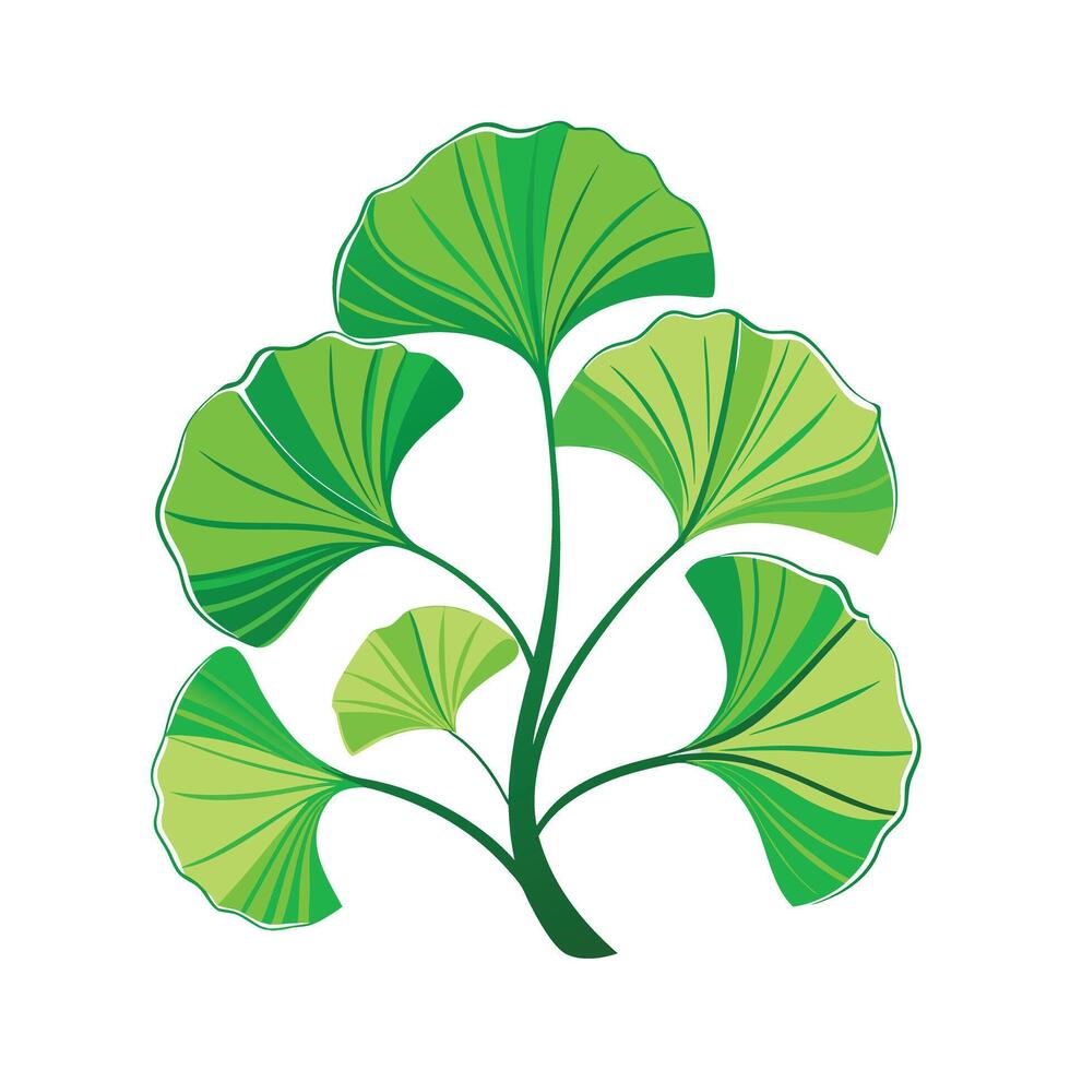 Realistic Beautiful Leaves Illustration vector