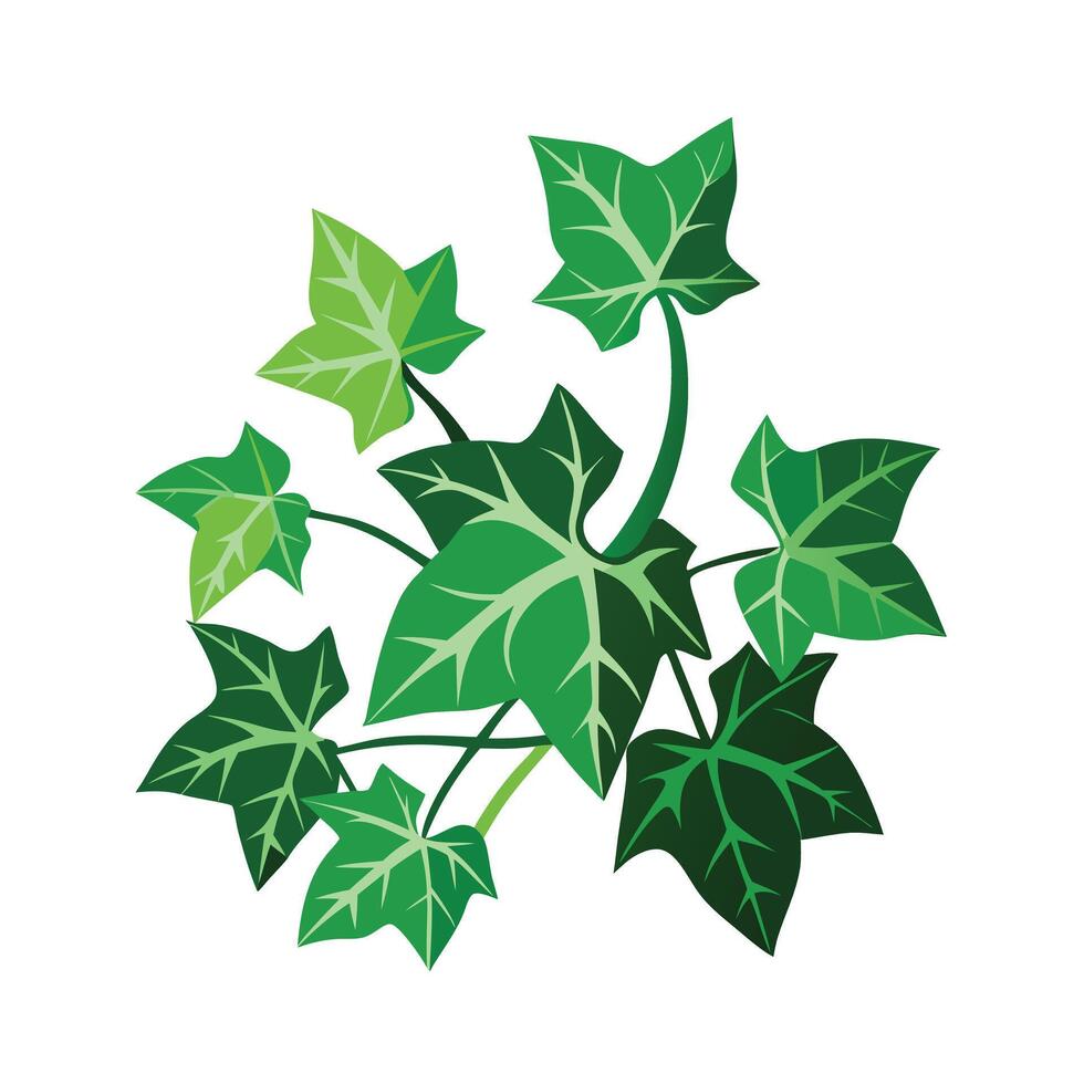 Realistic Beautiful Leaves Illustration vector