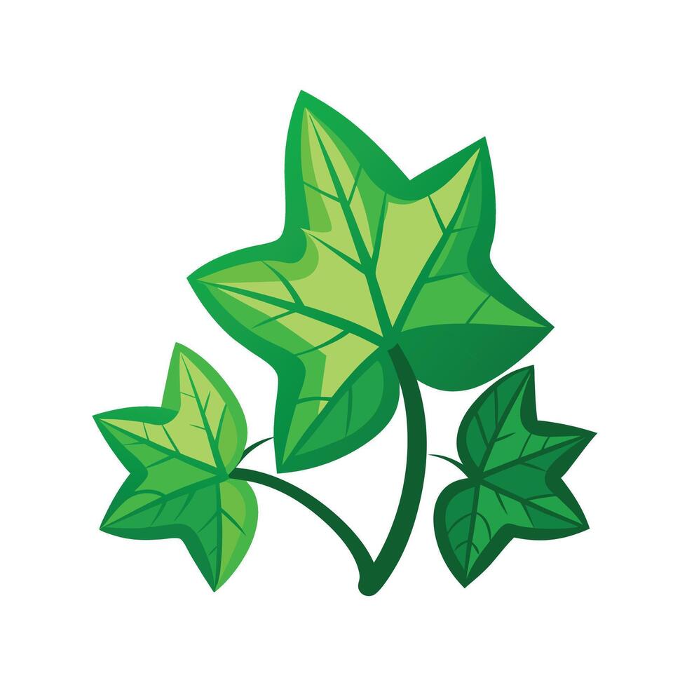 Realistic Beautiful Leaves Illustration vector