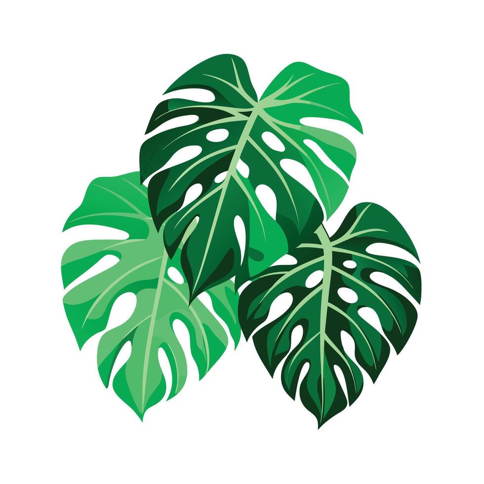 Realistic Beautiful Leaves Illustration vector