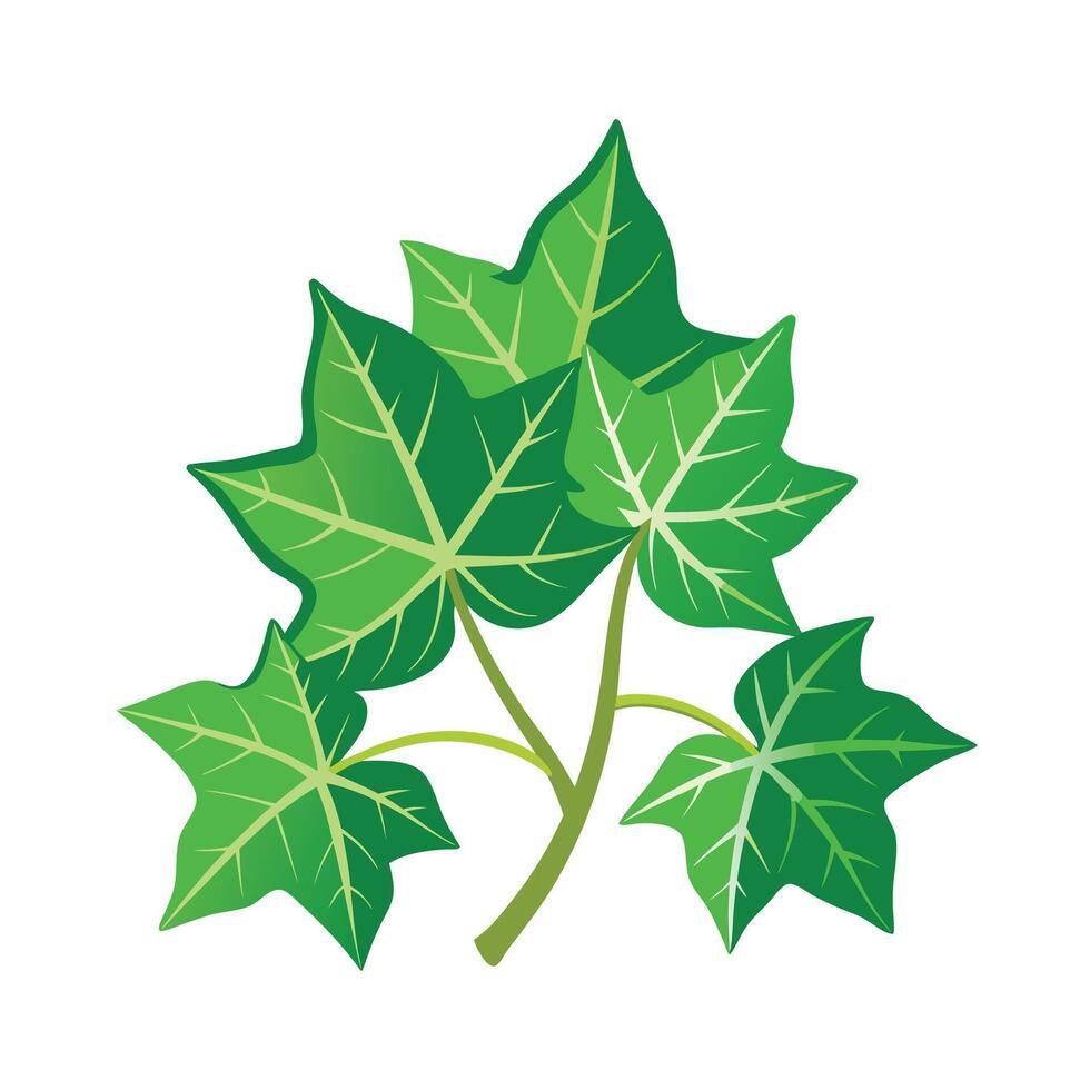 Realistic Beautiful Leaves Illustration vector