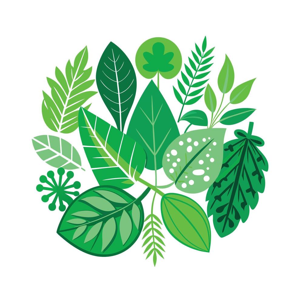 Realistic Beautiful Leaves Illustration vector