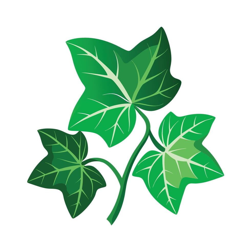 Realistic Beautiful Leaves Illustration vector