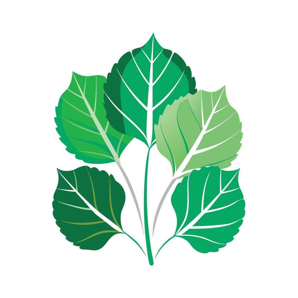 Realistic Beautiful Leaves Illustration vector
