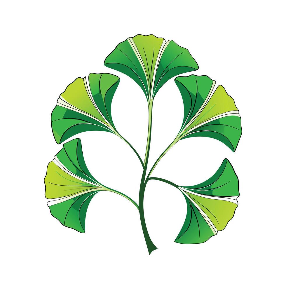 Realistic Beautiful Leaves Illustration vector
