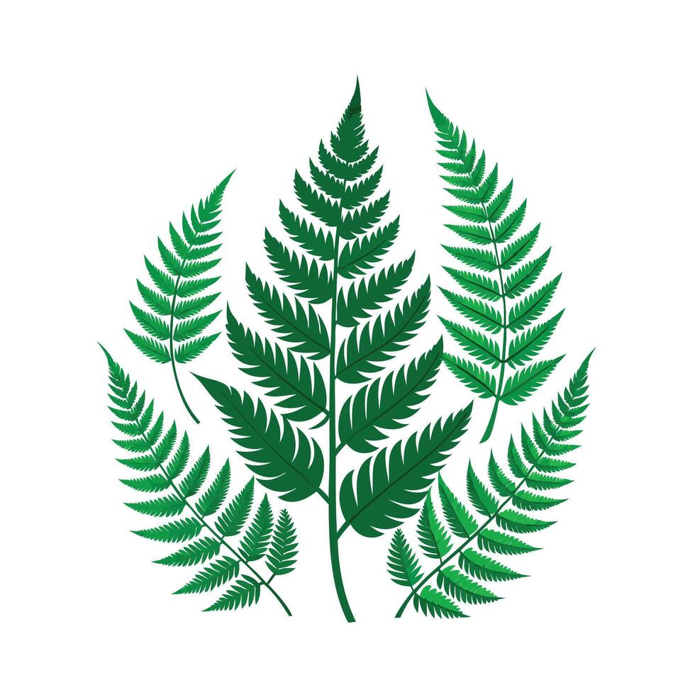 Realistic Beautiful Leaves Illustration vector