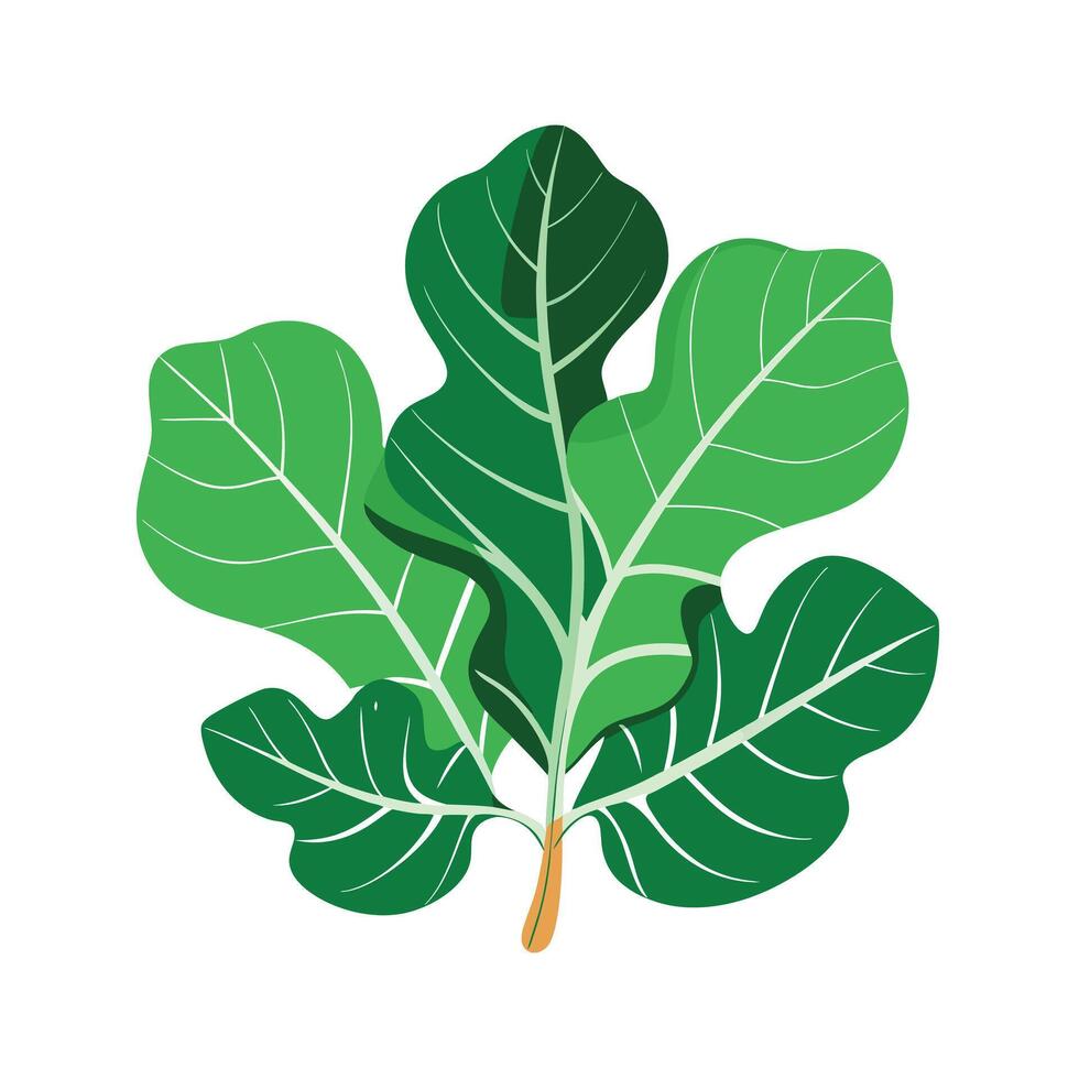 Realistic Beautiful Leaves Illustration vector