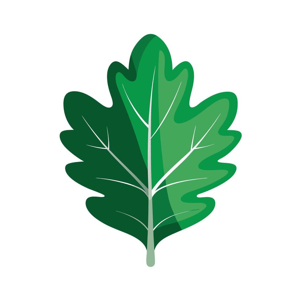 Realistic Beautiful Leaves Illustration vector
