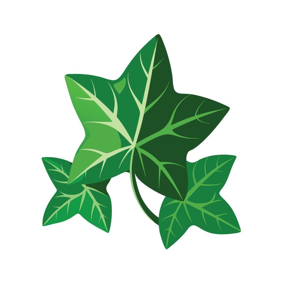 Realistic Beautiful Leaves Illustration vector
