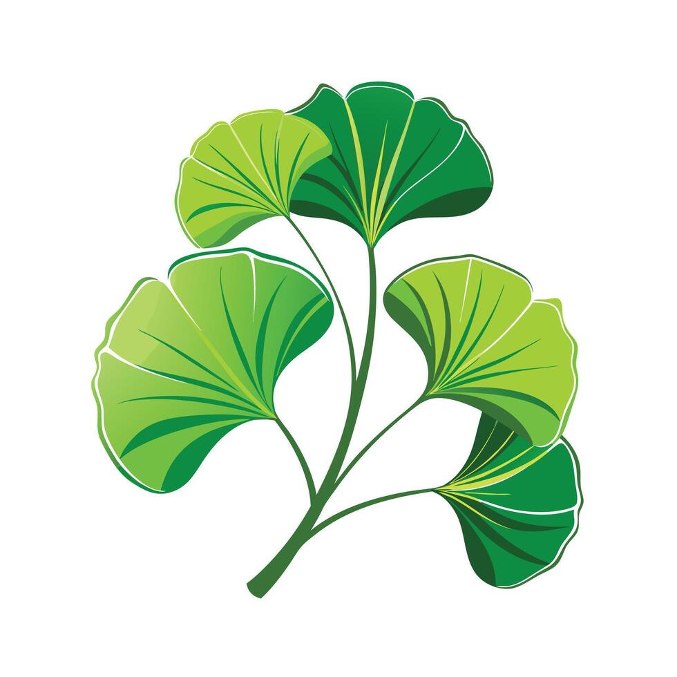 Realistic Beautiful Leaves Illustration vector
