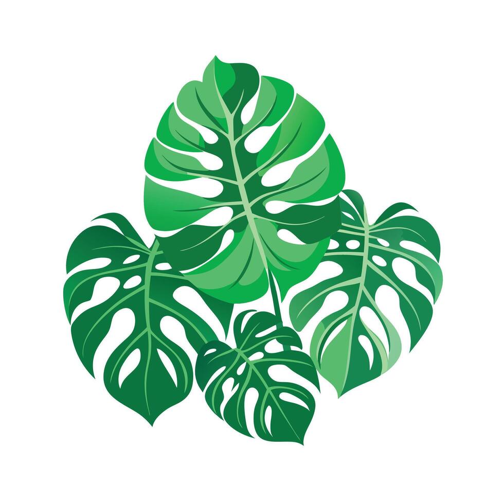 Realistic Beautiful Leaves Illustration vector