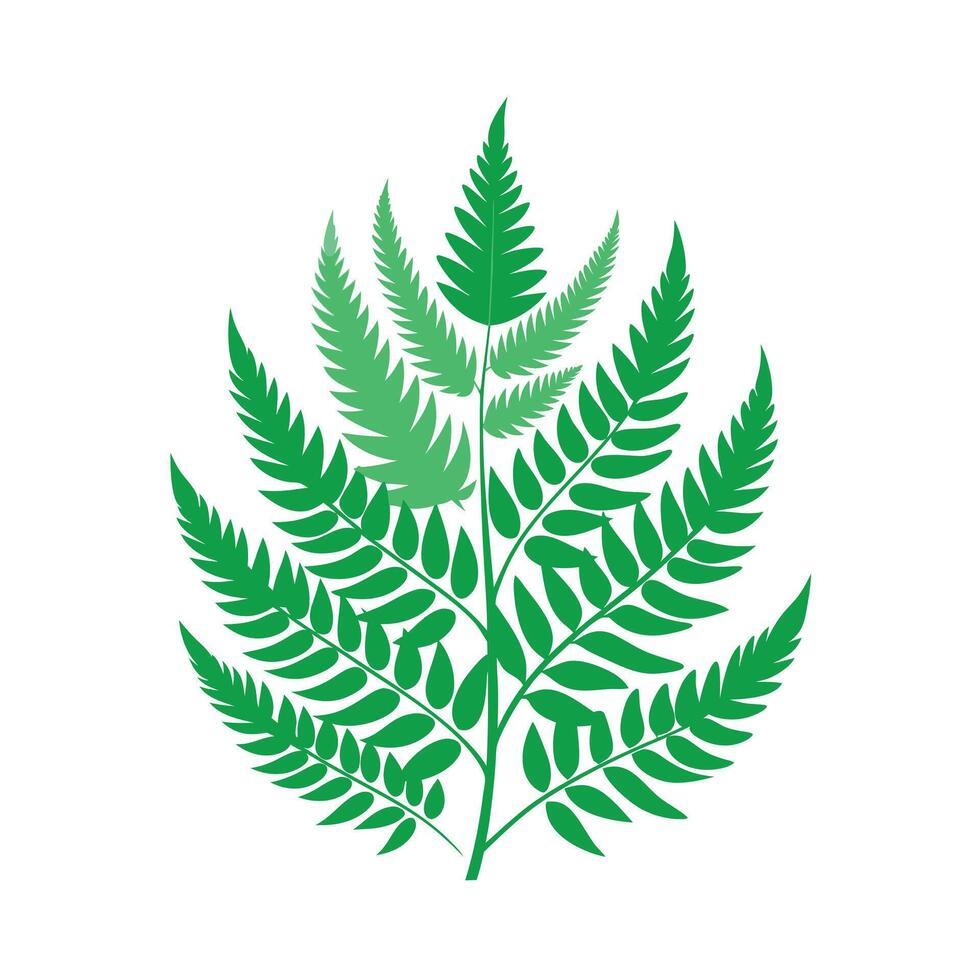 Realistic Beautiful Leaves Illustration vector