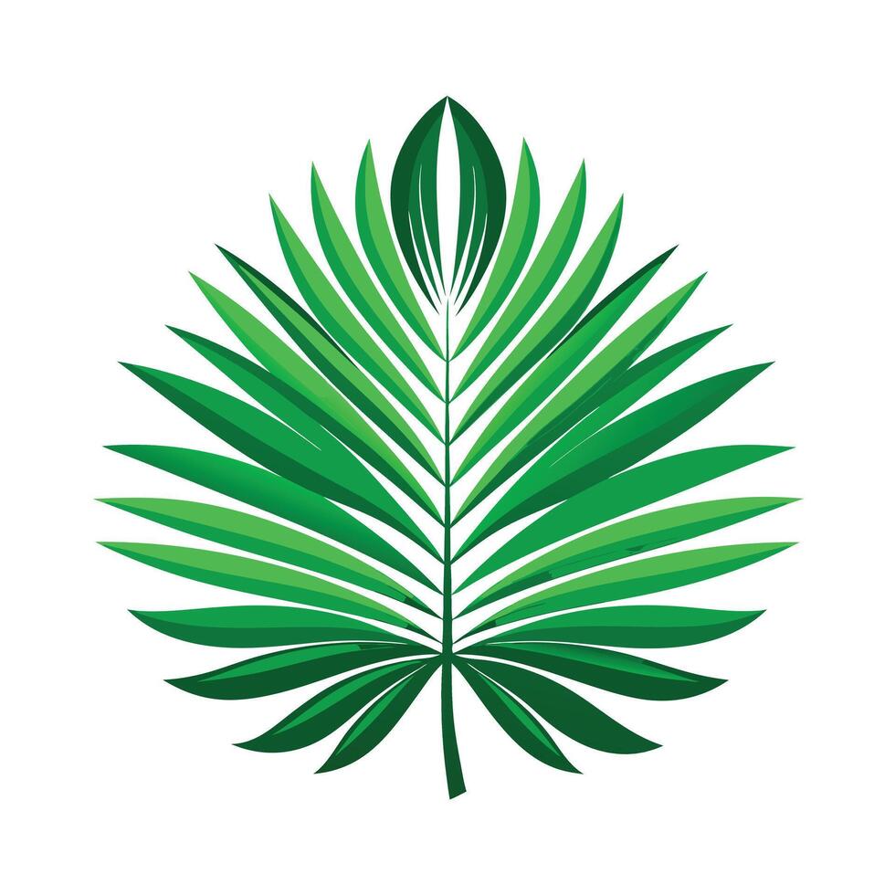 Realistic Beautiful Leaves Illustration vector