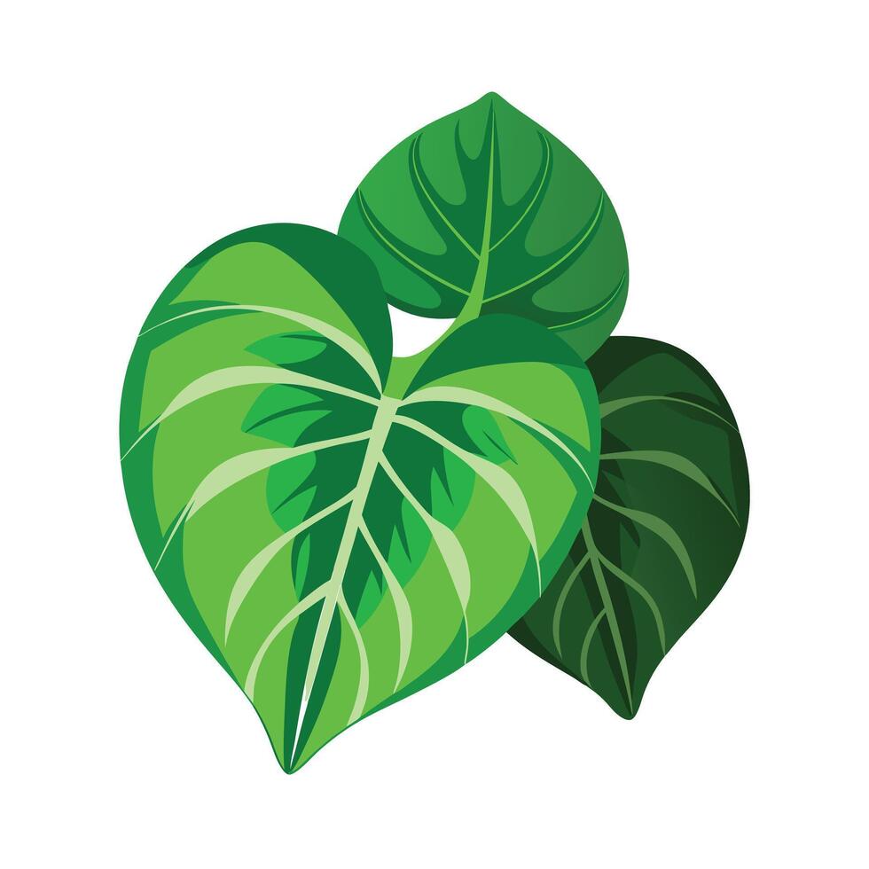 Realistic Beautiful Leaves Illustration vector