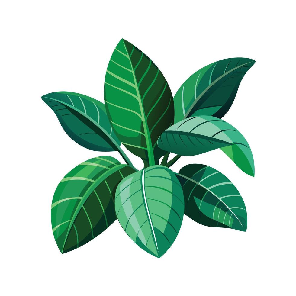 Realistic Beautiful Leaves Illustration vector