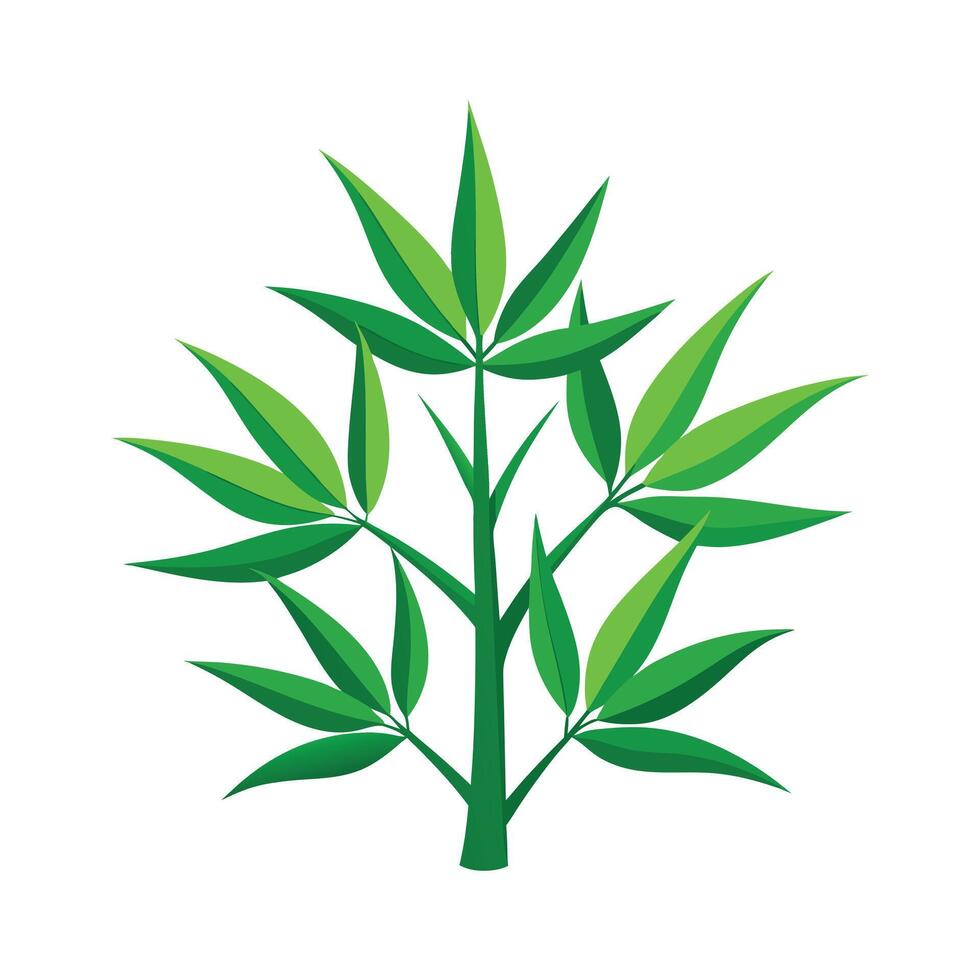 Realistic Beautiful Leaves Illustration vector