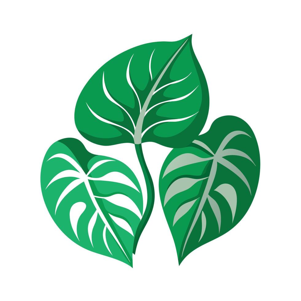Realistic Beautiful Leaves Illustration vector